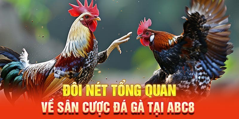 da ga abc8 tong quan